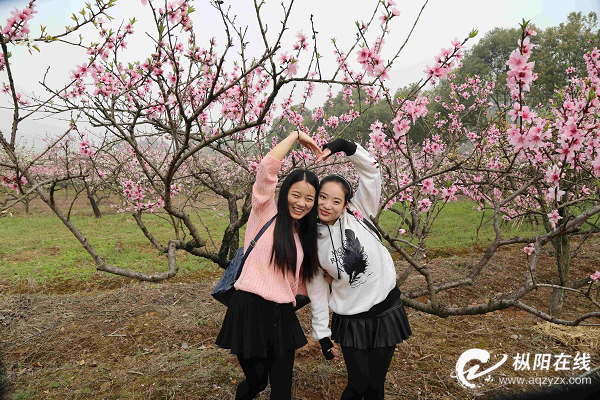 “春花经济”火 乡村旅游热