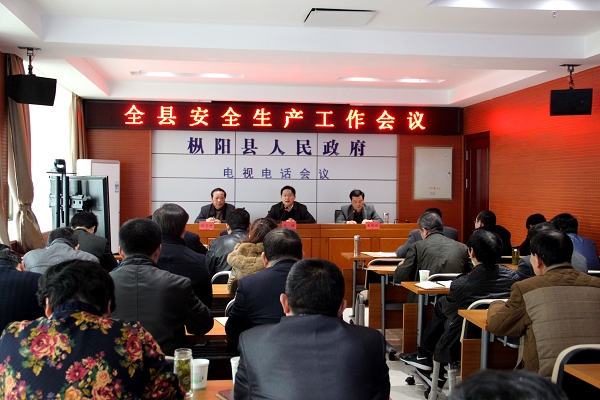 枞阳召开安全生产工作会议