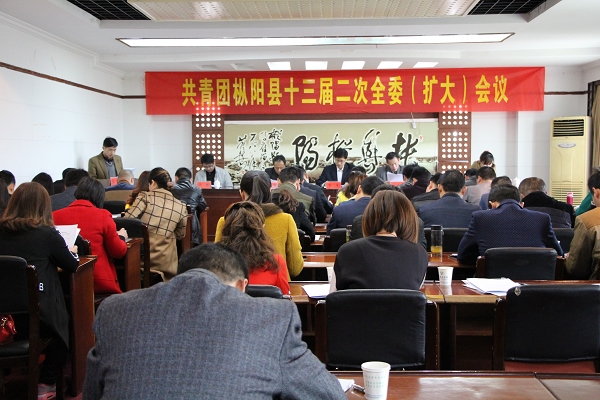 团县委召开十三届二次全委(扩大)会