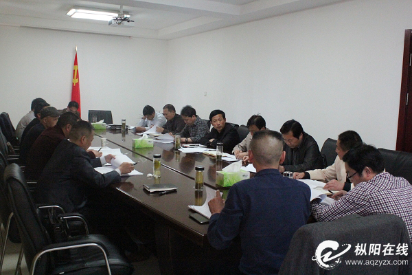 枞阳召开美丽乡村建设调度会