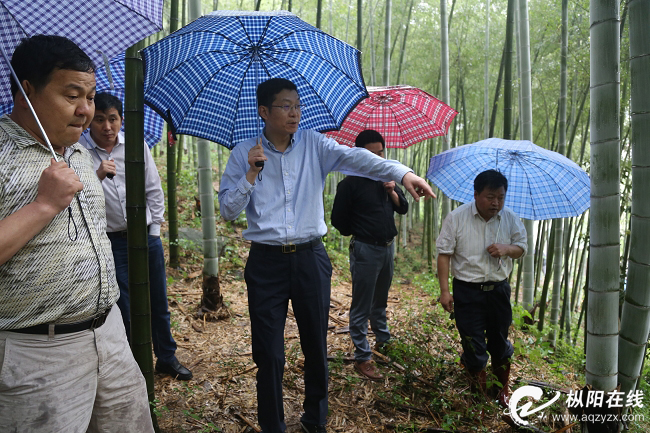 市委常委、县委布告刘亚东到钱铺乡、会宫镇调研