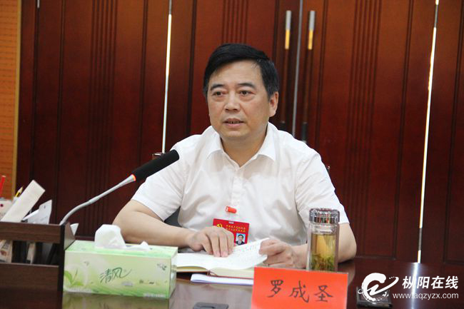 发展经济要有项目和产业支撑