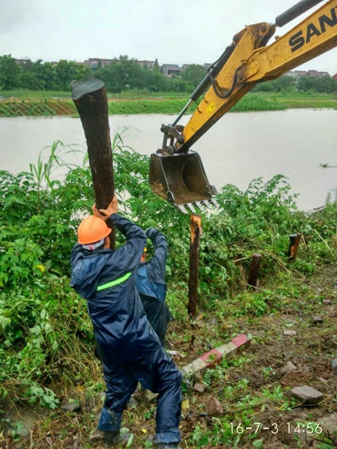 万亩花园圩西堤加固除了险