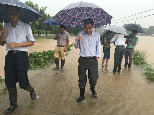 市农委来枞阳察看暴雨灾情