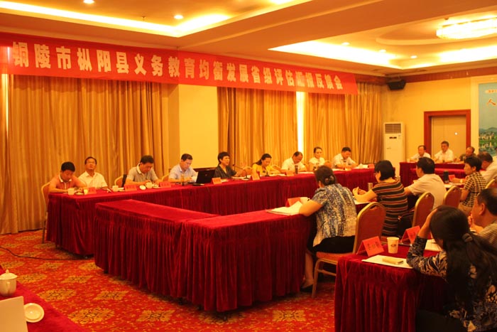 枞阳义务教育均衡发展顺利通过省级督导评估
