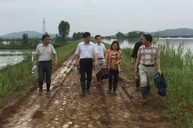 项铺镇长钱立报系列报道之（二）：带病穿梭在抢险一线