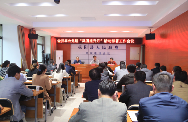 我县召开非公党建“巩固提升月”活动部署工作视频会议