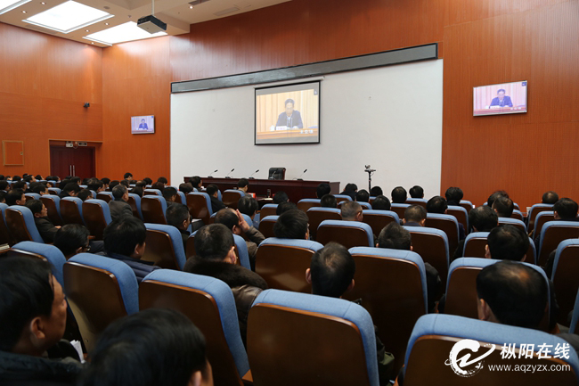 枞阳收听收看全省党员干部“讲看齐、见行动”学习讨论动员大会