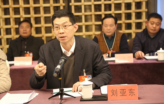 市十五届人大七次会议枞阳代表团召开会议
