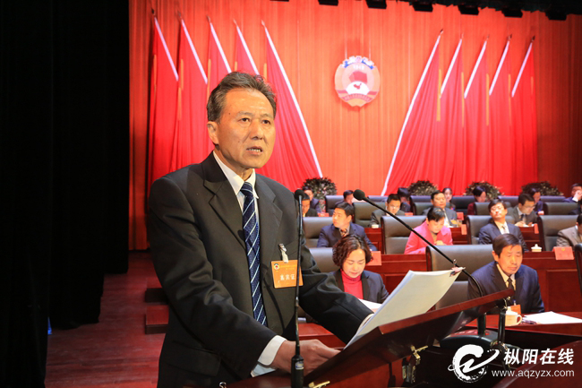 中国人民政治协商会议第十二届枞阳县委员会常务委员会关于提案工作情况的报告（摘要）