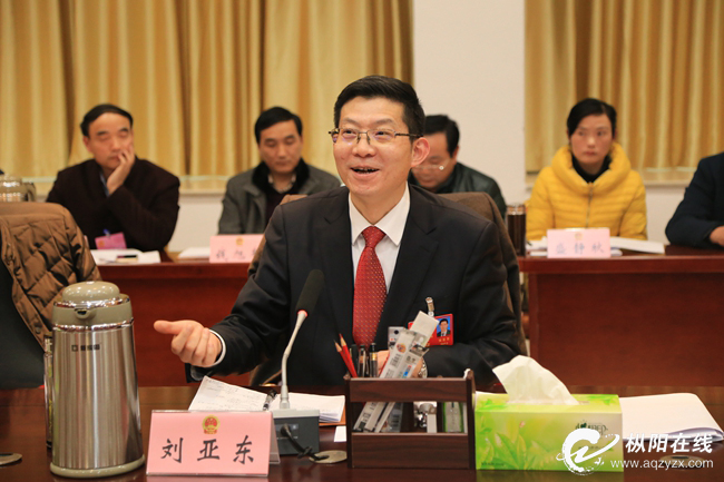 担纲承梁当标兵 固本强基促发展