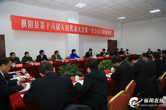 县十六届人大一次会议主席团召开第四次会议