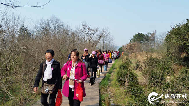 浮山“三八”节推免票政策 迎春游高峰