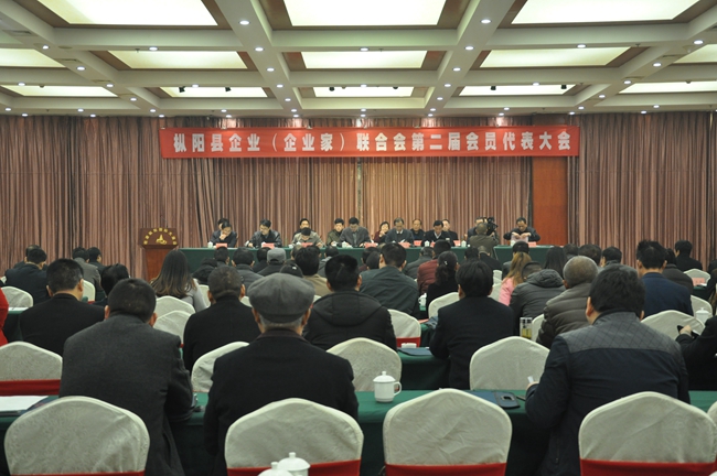 枞阳企联第二届会员代表大会召开