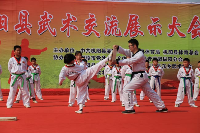我县举办武术交流展示大会