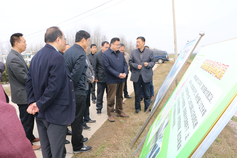 长江防总检查枞阳江堤防汛工作