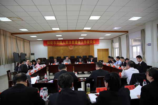 全市法院人民法庭建设工作座谈会在枞阳召开