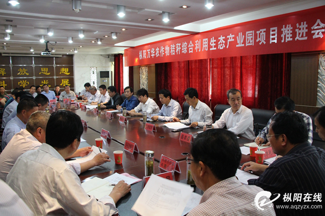 枞阳万华生态产业园项目推进现场会召开