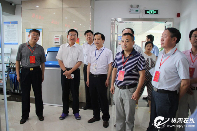 市十五届人大代表第一代表小组开展调研活动