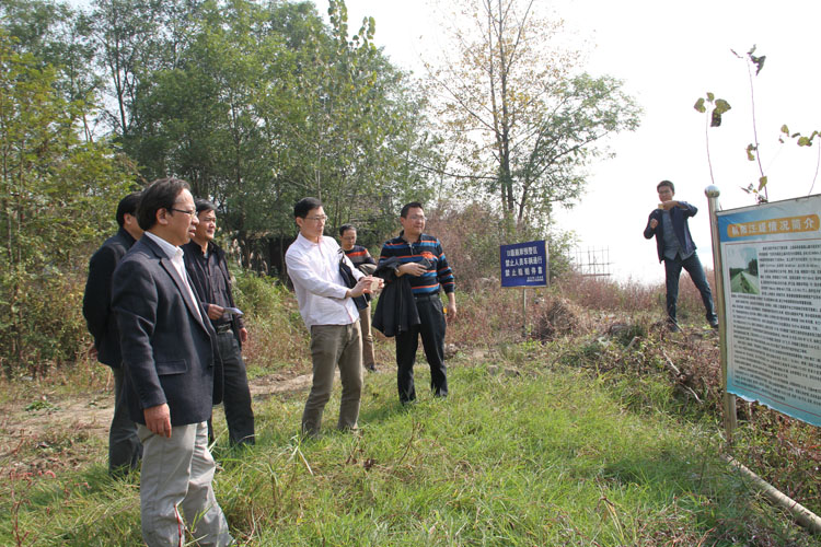 湖北省水利厅防办调研桂家坝崩岸预警区规画使命