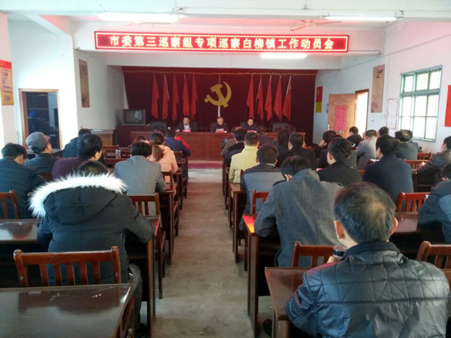 市委第三巡察组赴白柳镇开展巡察