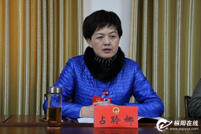 占聆娜参加官埠桥镇代表团审议