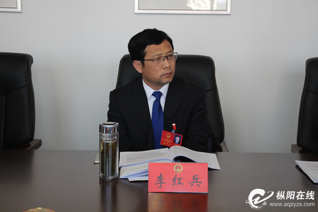 李红兵参加藕山镇代表团审议