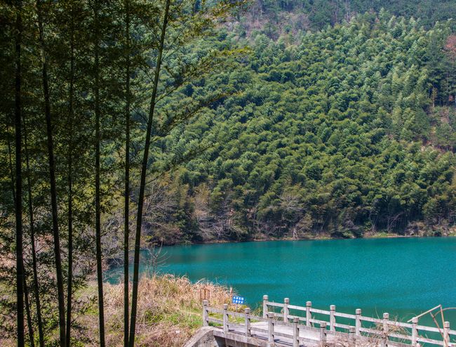 【乡村振兴钱铺行】鹿狮山水绽笑颜