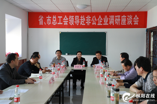 李素萍来枞阳调研工会工作
