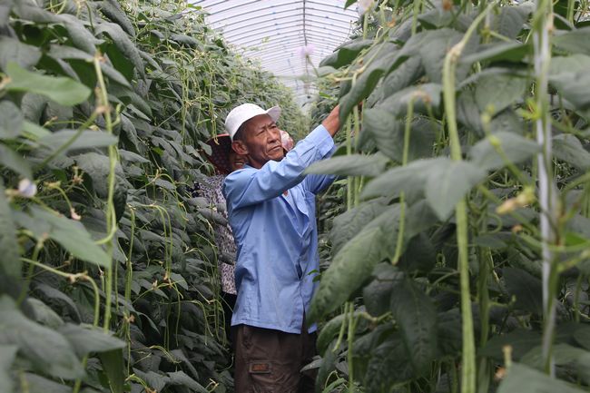【精准扶贫 精准脱贫】“起而行”开启幸福人生