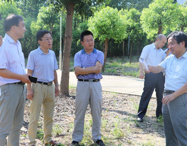 鲍次立督查调研枞阳县城饮用水水源地环境保护工作