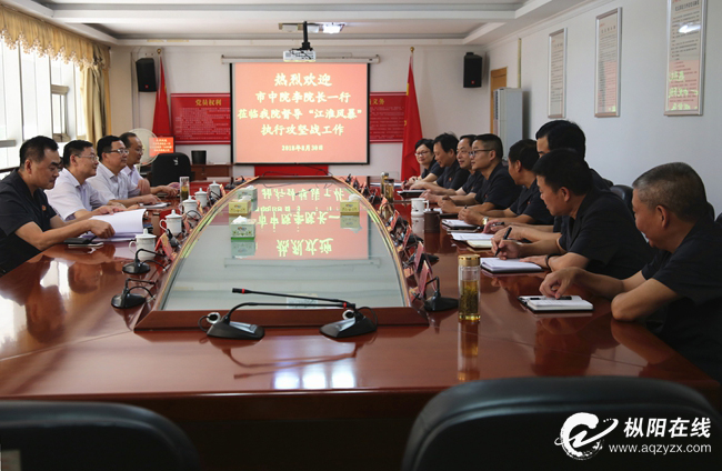 李令新到枞阳县法院督导执行攻坚