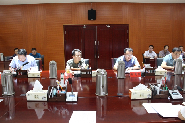 省环保督察枞阳县协调联络领导小组召开边督边改工作推进会