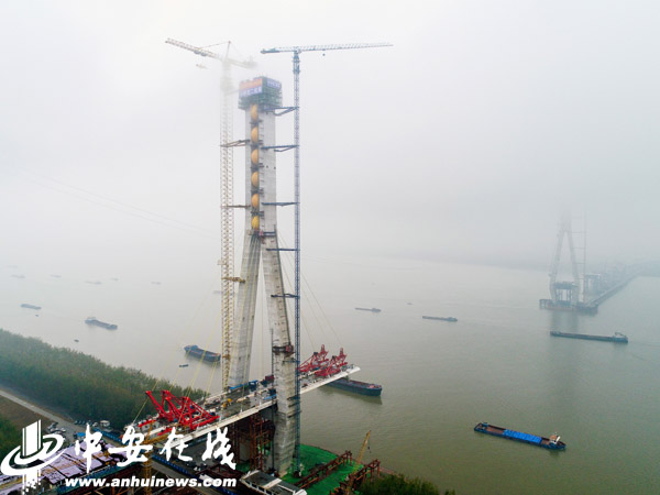 好消息！池州长江大桥北岸主塔顺利封顶