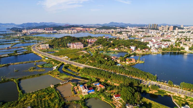 联动融合枞阳不断刷新“成绩单”