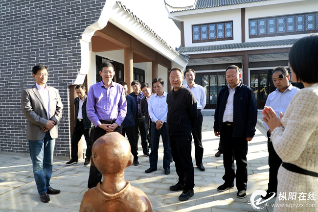 庐江县审核团来我县审核详尽村落子建树