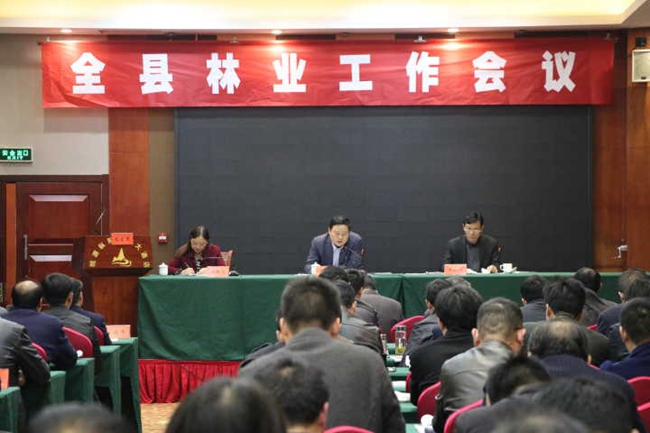 全县林业工作会议召开