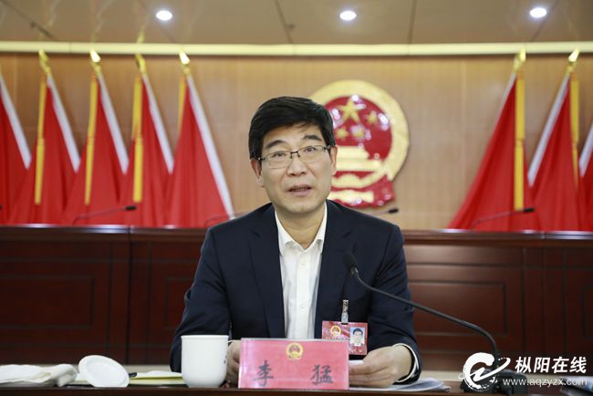 市委书记李猛参加枞阳代表团审议