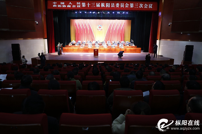 县政协十三届三次会议举行第二次全体会议