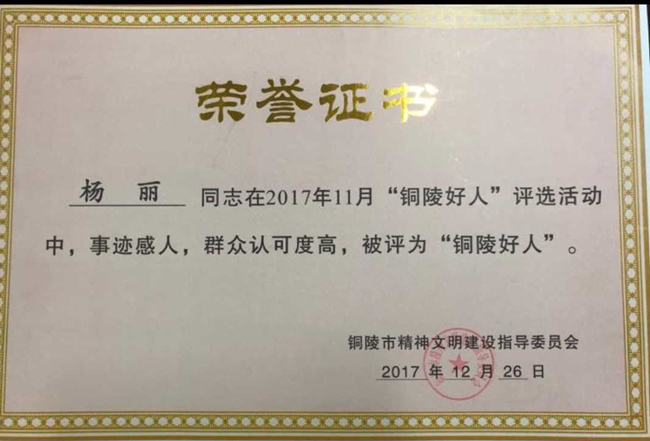 杨丽：你是坚毅不倒的顶梁柱