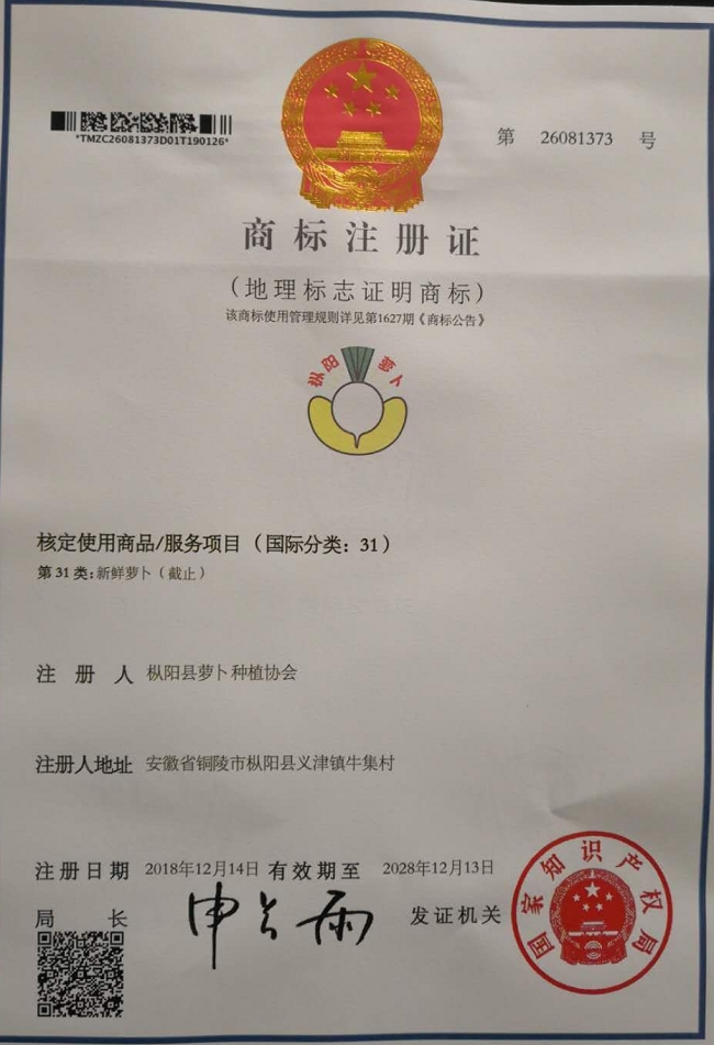 枞阳萝卜喜获地理标志证明商标