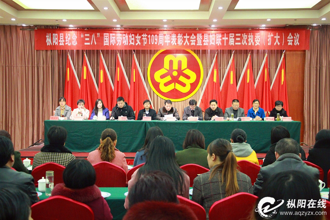 我县召开纪念“三八”国际劳动妇女节109周年表彰大会