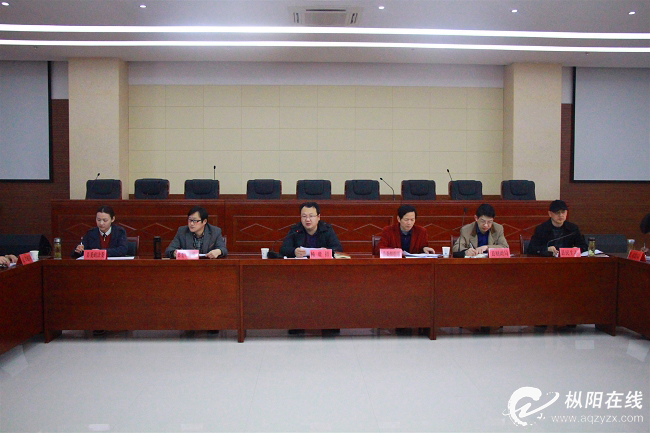 枞阳县2019年民生工作领导小组第一次会议召开