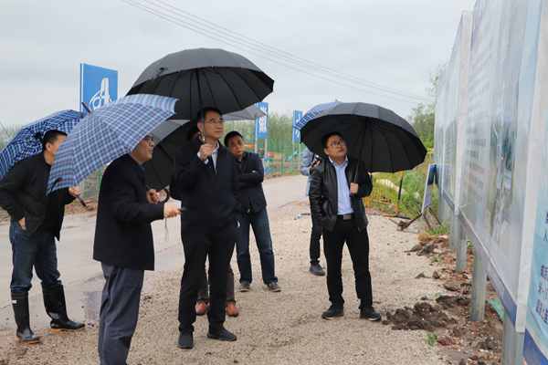 盛九江来枞调研督导扫黑除恶专项斗争等工作