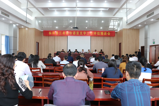 枞阳县三类城市语言文字工作评估推进会召开