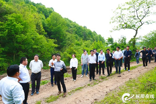我县召开特色自然村建设工作推进现场会
