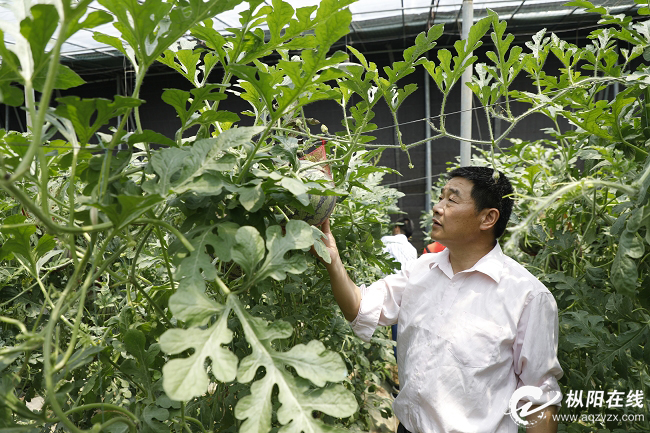 榈源农业：打造从田间到餐桌绿色财富链