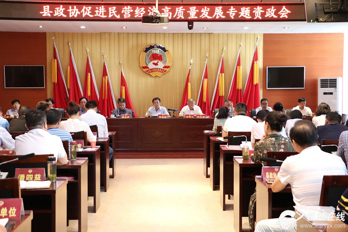 县政协促进民营经济高质量发展专题资政会召开