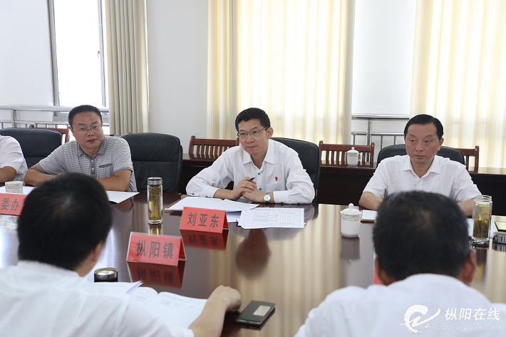 刘亚东深入枞阳镇摸排调研软弱涣散基层党组织
