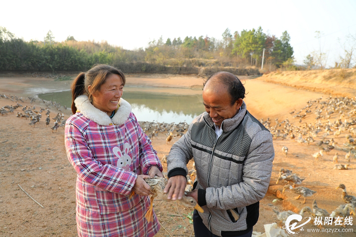 贫穷夫妇养殖增收致富